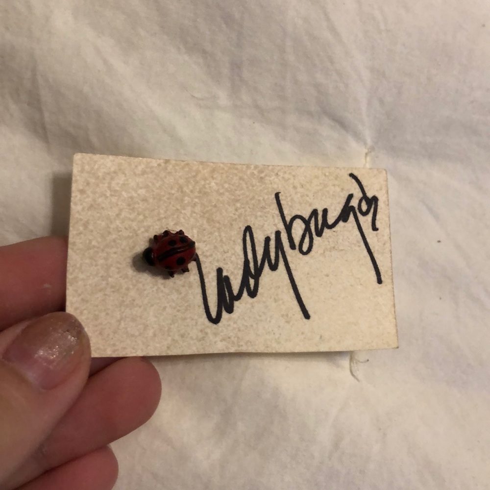 Tiny Ladybug pin